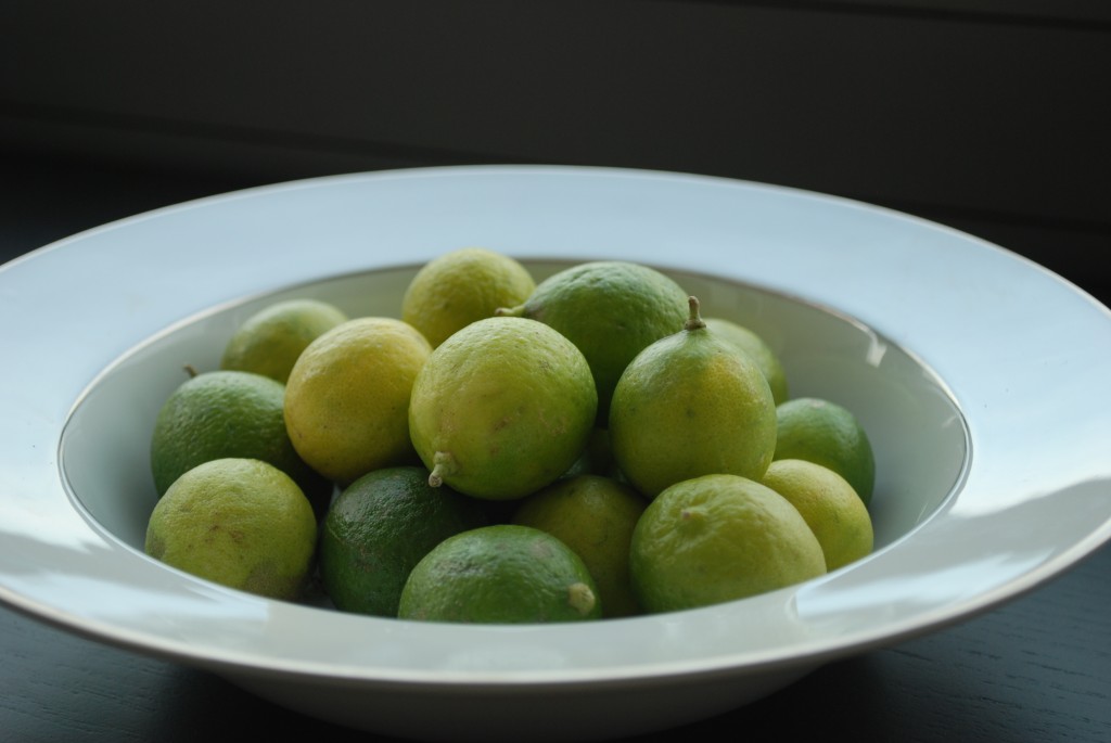 Key Lime Pie - Tiny Test Kitchen | Tiny Test Kitchen